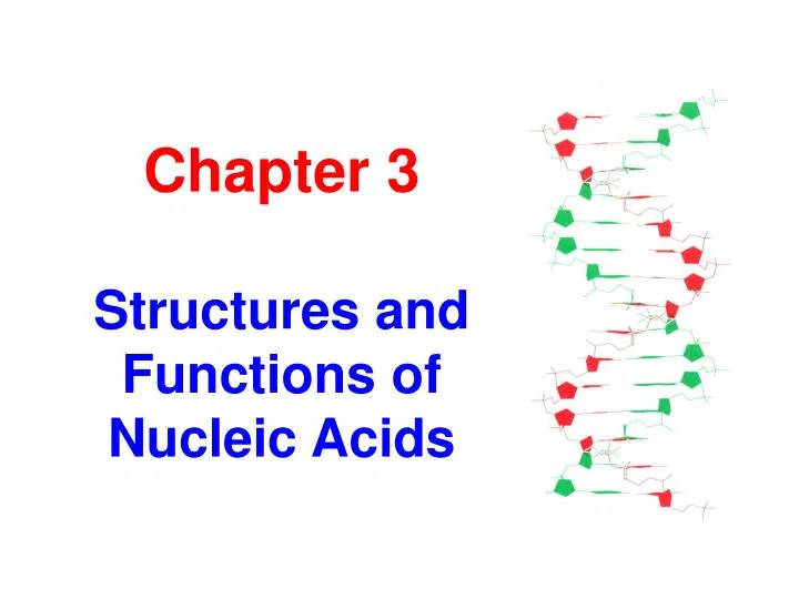 chapter 3 structures and functions of nucleic acids