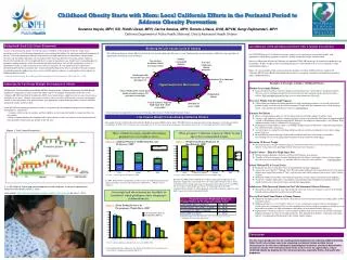 Childhood Obesity Starts with Mom: Local California Efforts in the Perinatal Period to Address Obesity Prevention