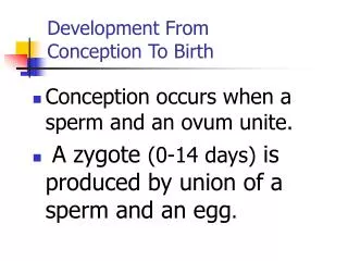 Development From Conception To Birth