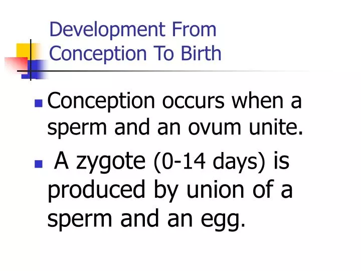 development from conception to birth