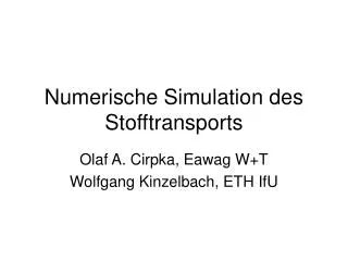 Numerische Simulation des Stofftransports