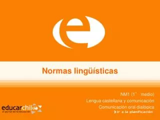 normas ling sticas