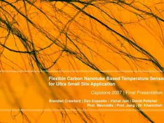 Flexible Carbon Nanotube Based Temperature Sensor for Ultra Small Site Application