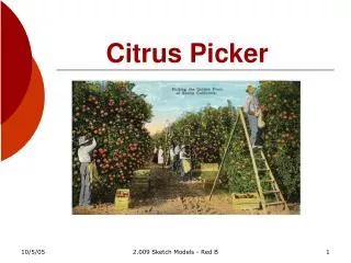 Citrus Picker