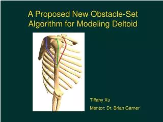 A Proposed New Obstacle-Set Algorithm for Modeling Deltoid