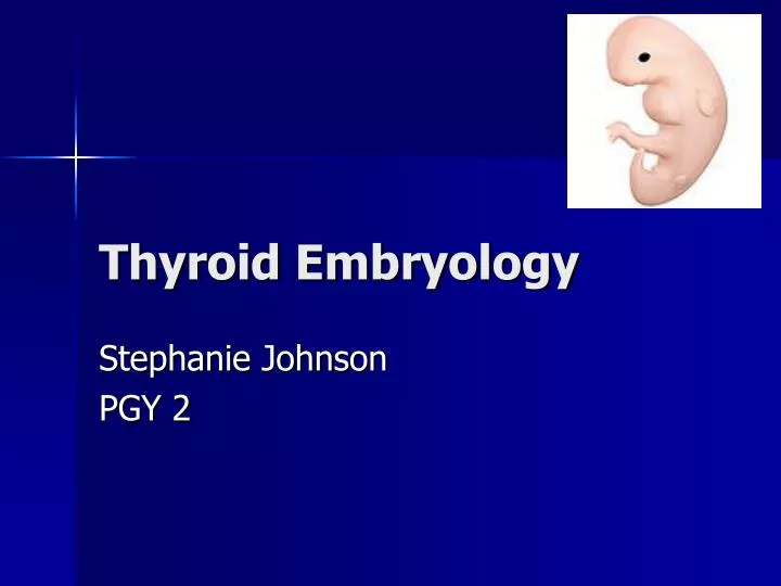 thyroid embryology