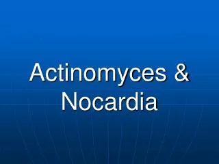 Actinomyces &amp; Nocardia