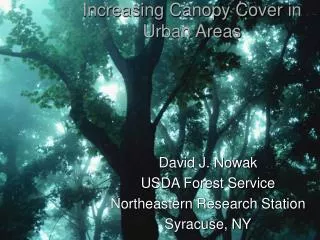 Increasing Canopy Cover in Urban Areas