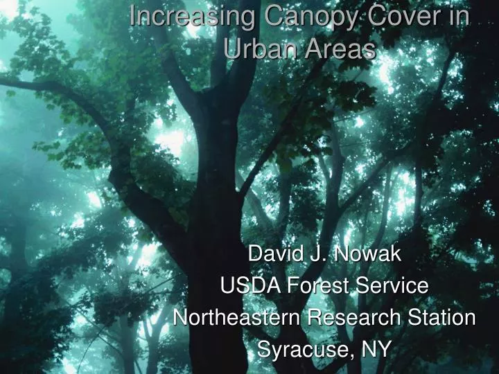 increasing canopy cover in urban areas