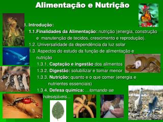 alimenta o e nutri o