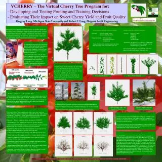 VCHERRY – The Virtual Cherry Tree Program for: - Developing and Testing Pruning and Training Decisions