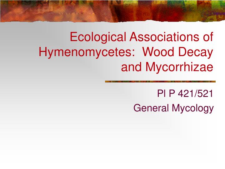ecological associations of hymenomycetes wood decay and mycorrhizae