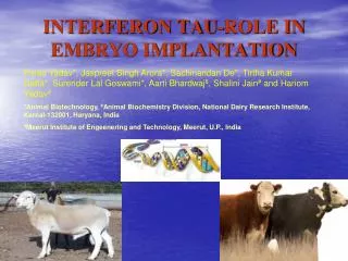 INTERFERON TAU-ROLE IN EMBRYO IMPLANTATION
