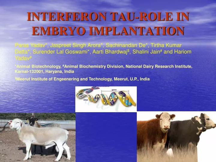 interferon tau role in embryo implantation