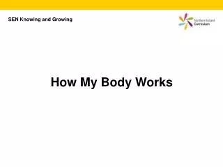 How My Body Works
