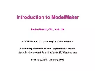 Introduction to ModelMaker