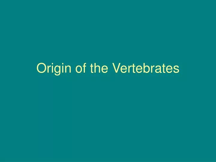 origin of the vertebrates
