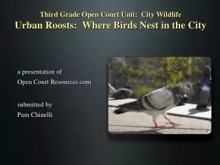 Third Grade Open Court Unit: City Wildlife Urban Roosts: Where Birds Nest in the City