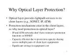 Why Optical Layer Protection? - slide 1