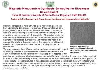 Magnetic Nanoparticle Synthesis Strategies for Biosensor Development Oscar M. Suarez, University of Puerto Rico at Mayag