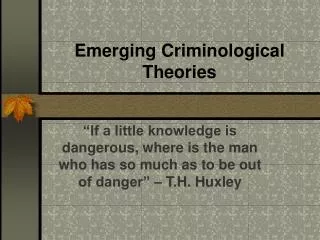 Emerging Criminological Theories