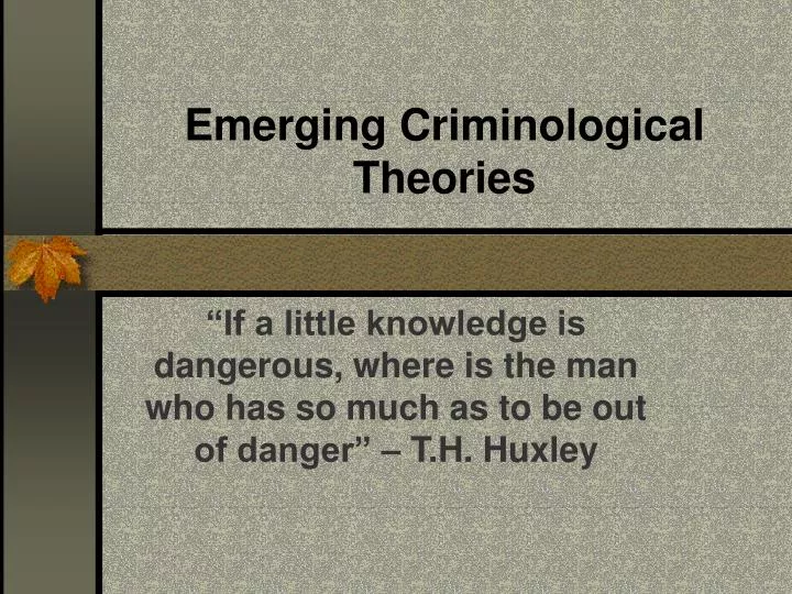 emerging criminological theories