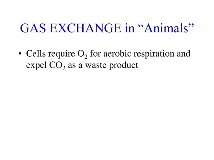 gas exchange in animals