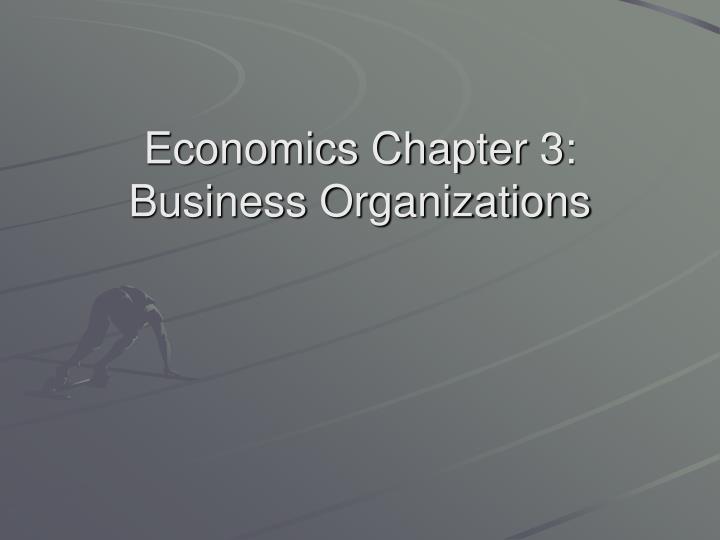 economics chapter 3 business organizations