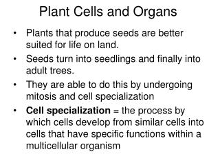 Plant Cells and Organs