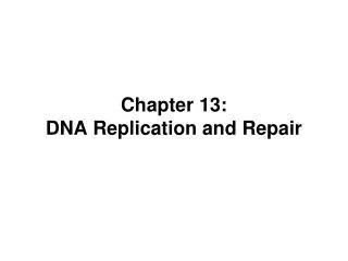 Chapter 13: DNA Replication and Repair
