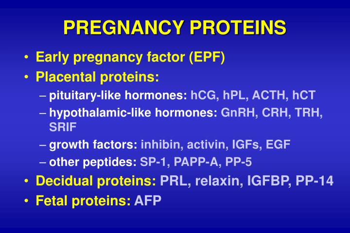 pregnancy proteins