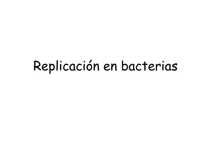 replicaci n en bacterias