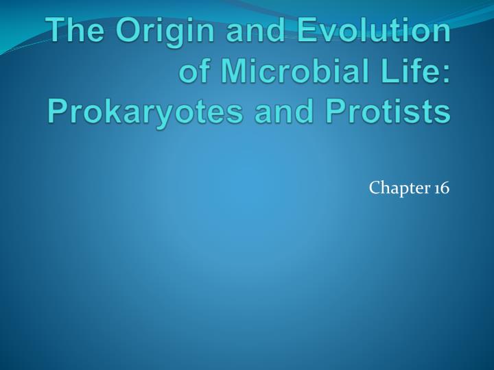 the origin and evolution of microbial life prokaryotes and protists