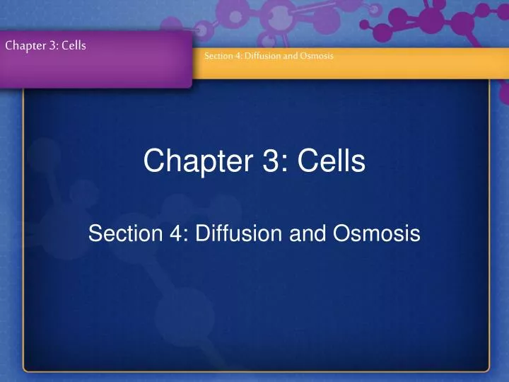 chapter 3 cells