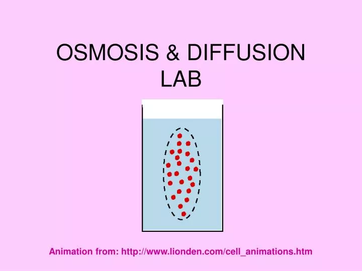 osmosis diffusion lab