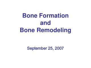 Bone Formation and Bone Remodeling