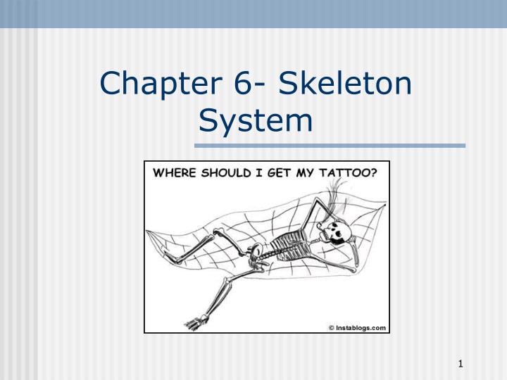 chapter 6 skeleton system