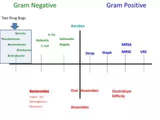 Gram Negative	 Gram Positive