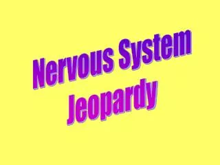 Nervous System Jeopardy