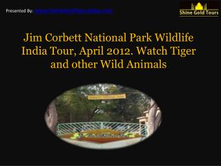 Jim Corbett National Park India