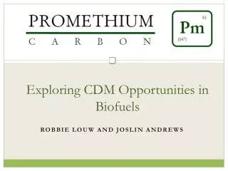 Exploring CDM Opportunities in Biofuels