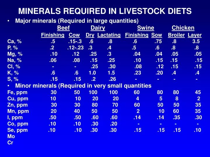 minerals required in livestock diets