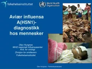 Aviær influensa A(H5N1)-diagnostikk hos mennesker