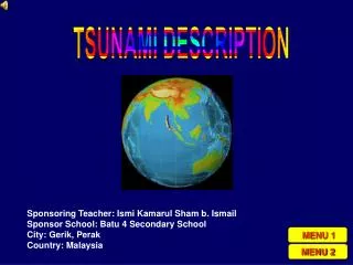 TSUNAMI DESCRIPTION