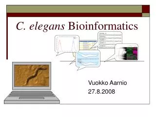 C. elegans Bioinformatics