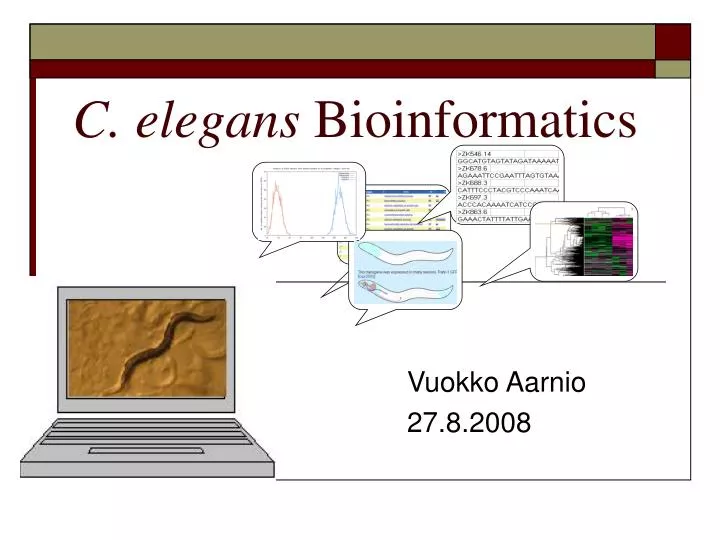 c elegans bioinformatics