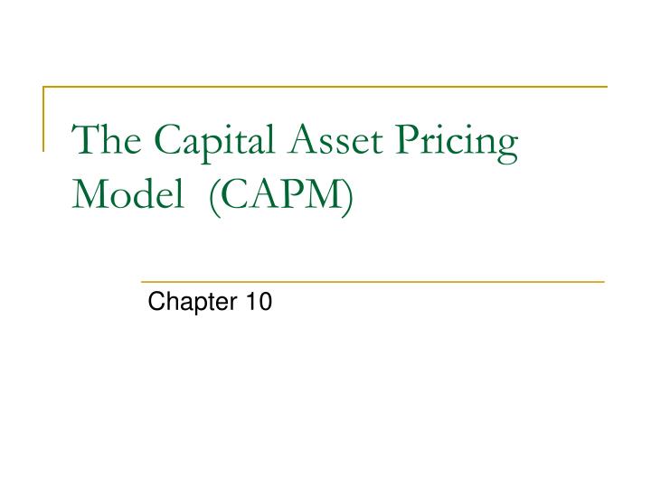 the capital asset pricing model capm