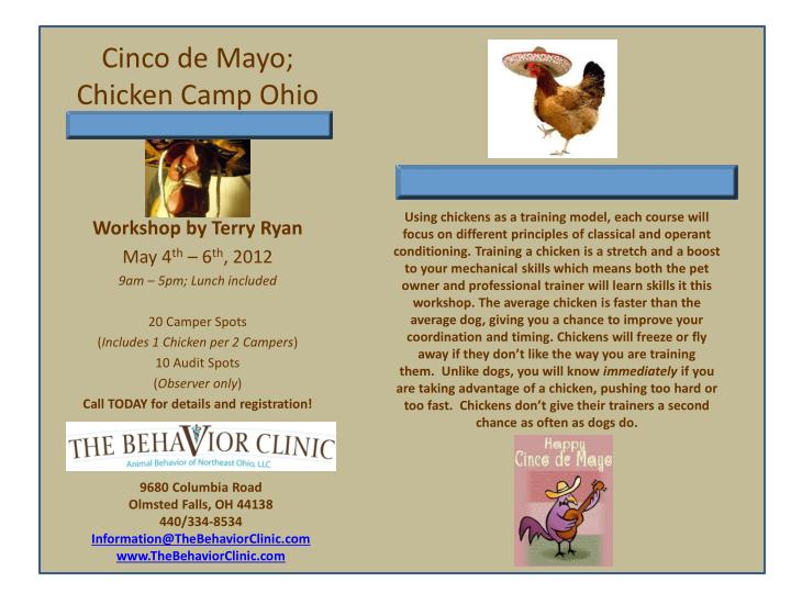 cinco de mayo chicken camp ohio