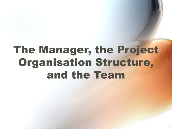 the manager the project organisation structure and the team
