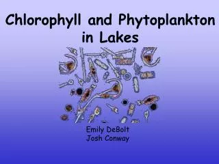 Chlorophyll and Phytoplankton in Lakes